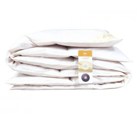 Prikrývka Basic husacie perie 70% 160 x 200 cm