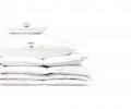 Prikrývka Basic husacie perie 70% 160x200cm