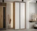 Šatníková skriňa s posuvnými dverami DAVOS 100cm | DUB Artisan / biela / strieborné