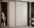 Šatníková skriňa s posuvnými dverami DAVOS 190cm | DUB Artisan / biela / strieborné