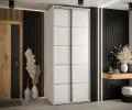 Šatníková skriňa s posuvnými dverami DAVOS 4, 100cm | Biela / strieborné pojazdy