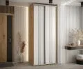 Šatníková skriňa s posuvnými dverami DAVOS 6, 120cm | DUB Artisan / biela / strieborné
