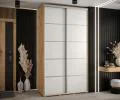 Šatníková skriňa s posuvnými dverami DAVOS 4, 140x235x45 cm DUB Artisan / BIELA, strieborné