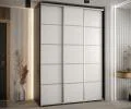 Šatníková skriňa s posuvnými dverami DAVOS 4, 170×235×45 cm, čierna / biela / strieborné pojazdy