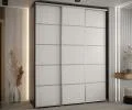 Šatníková skriňa s posuvnými dverami DAVOS 4, 200×235×45 cm, čierna / biela / strieborné pojazdy